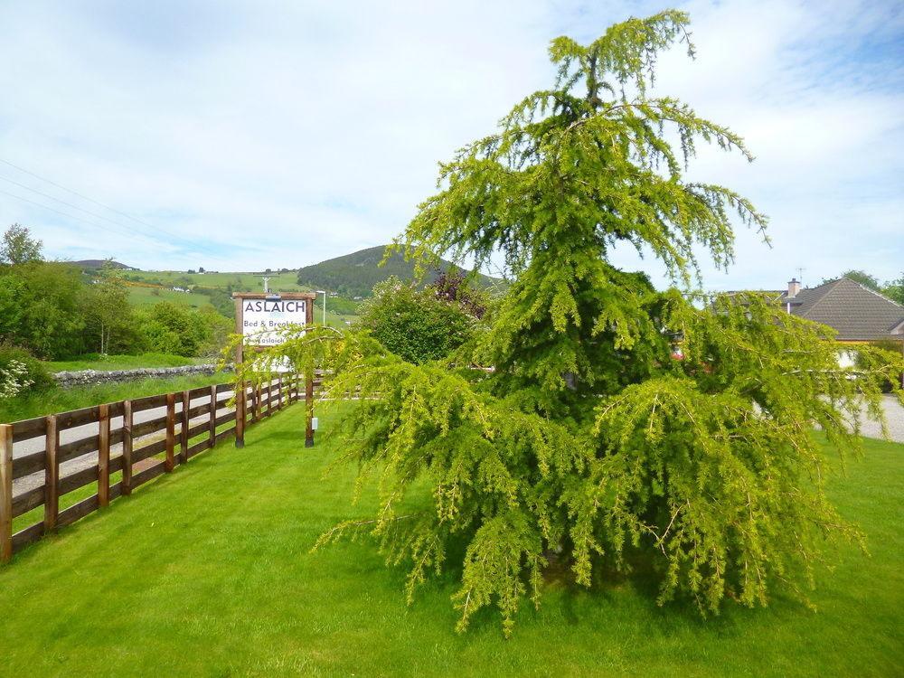 Hotel Aslaich Drumnadrochit Exteriér fotografie
